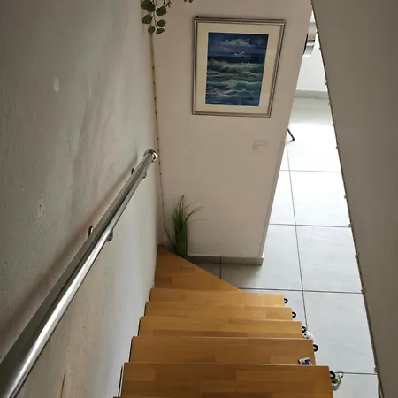 Apartman Pipo Mareda Novigrad Istria