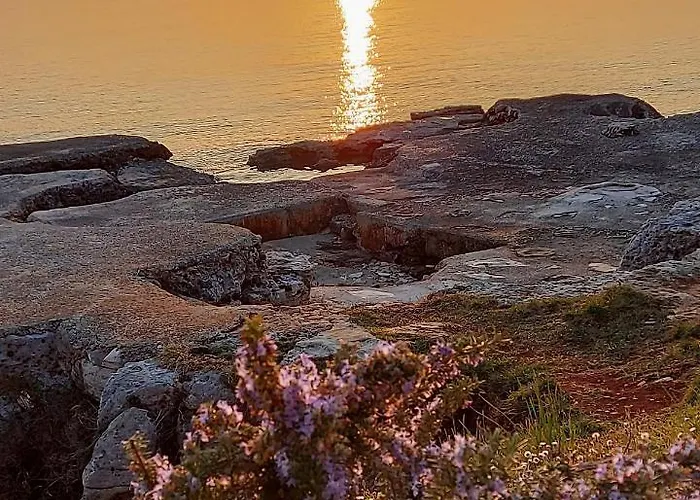 Apartment Pipo Mareda