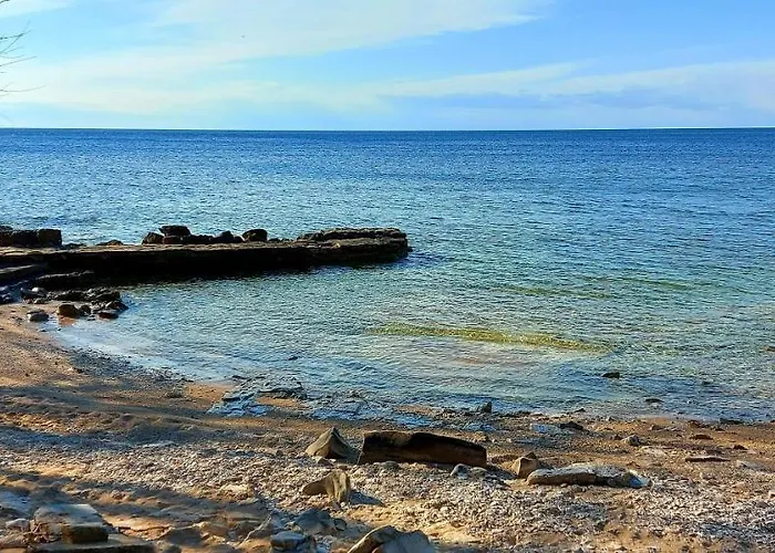 Pipo Mareda