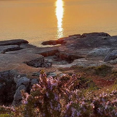 Apartament Pipo Mareda